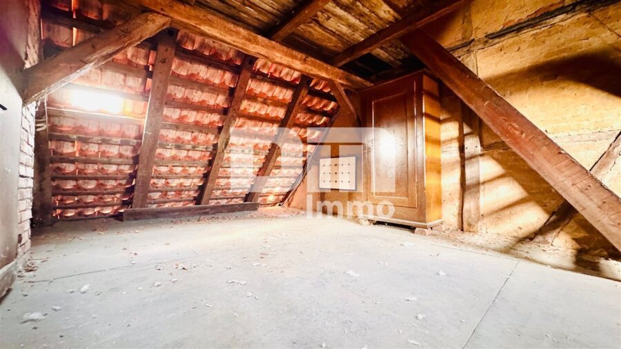 Geplegtes Einfamilienhaus mit 2 Nebengebäuden, Garten und überdachtem Freisitz - DG Ausbaureserve Teil 1